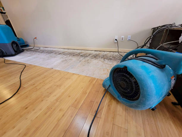 Professional Emergency Water Damage technician working in Brewster, WA